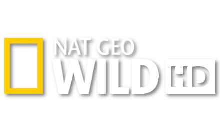 Nat Geo Wild HD
